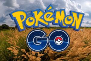 На Донбассе покемоны вышли на "тропу войны": "ихтамнеты" гибнут, охотясь на монстриков