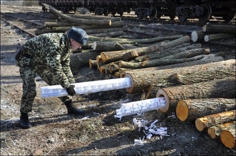 Стали известны зарплаты фискалов-"черносотенцев"
