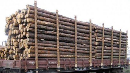 На Закарпатті суд конфіскував два вагони з лісом, який везли до ЄС