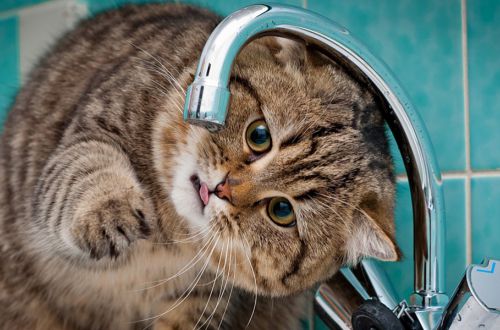 Кому в Киеве снизили тарифы на отопление и горячую воду