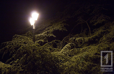 В одесском парке обнаружили труп мужчины с ножевым ранением в сердце