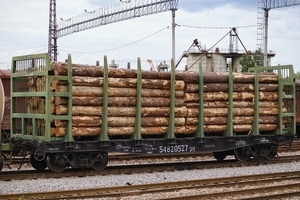 Везли в ЕС, как дрова: на Закарпатье полиции передали 17 вагонов с древесиной