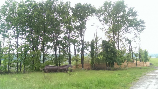 В Лесниках под Киевом произошел разлив промышленной ртути (фото)