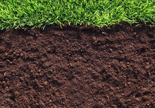 Кому належать рекреаційні землі Харківщини