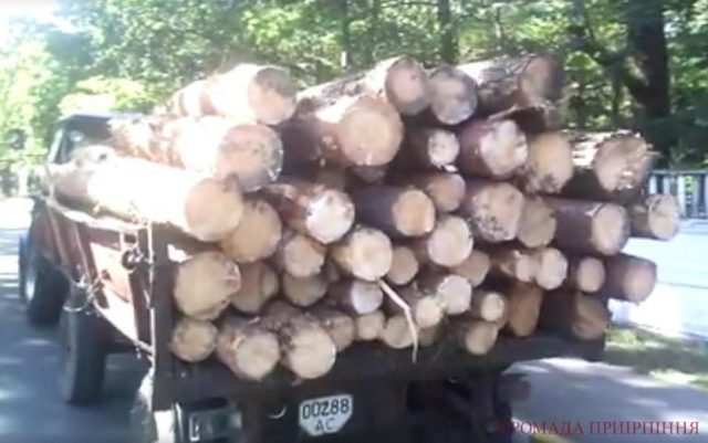 Забудовники знищують Гостомельський ліс стаханівськими темпами