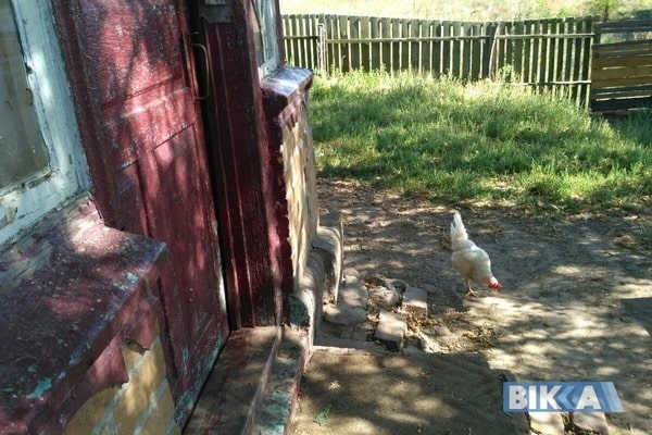 На Черкасщине пьяный рецидивист изнасиловал восьмилетнюю девочку в присутствии ее матери