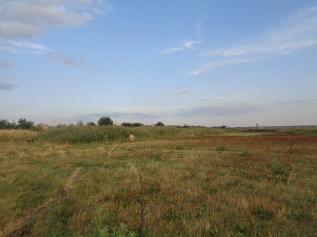 Одесские пограничники обнаружили подземный спиртопровод в Молдову