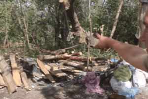 Украинские десантники рассказали о ситуации на передовой