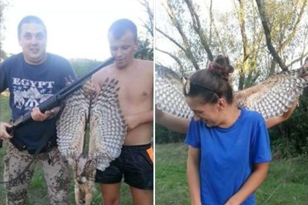 РАДІСНІ ФОТО ІЗ МЕРТВИМ ЯСТРУБОМ: ЧЕРКАЩАНИ ВТРАПИЛИ У ВСЕУКРАЇНСЬКИЙ СКАНДАЛ