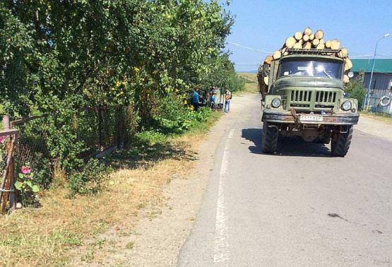 Варвары рубают лес в Закарпатье так, как-будто у нас нет хозяина