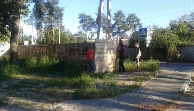 890 га Бучанської лісової дачі: розкрадання триває