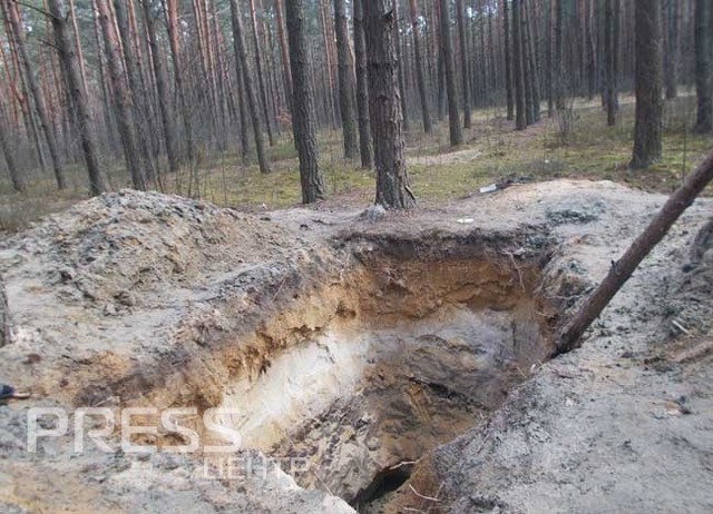 На Волині бурштин копають під прикриттям Нацгвардії та Світязя