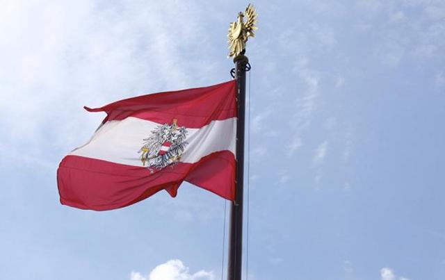 Выборы президента Австрии отложены на неопределенный срок из-за плохого клея