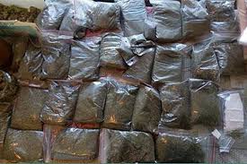 В Киеве задержали наркоторговцев с «товаром» на 600 тыс. грн