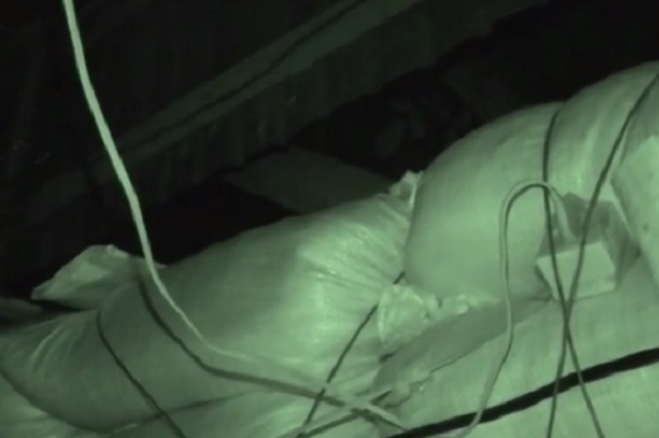 Появилось видео шквальных ночных обстрелов Авдеевки