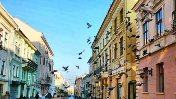 Українці назвали найбезпечніше місто країни