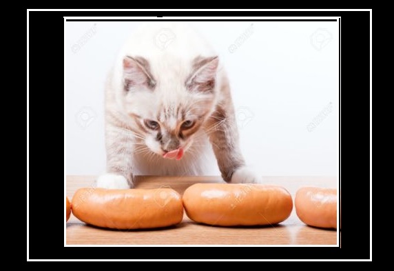 Куди не кинь – всюди харч