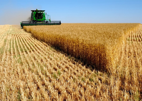 Семья фермеров на Днепропетровщине стала заложником коммерческих интересов Радикальной партии Ляшко