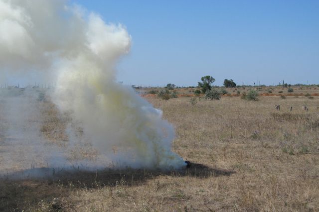 В Минобороны назвали причину взрыва миномета на Широком Лане