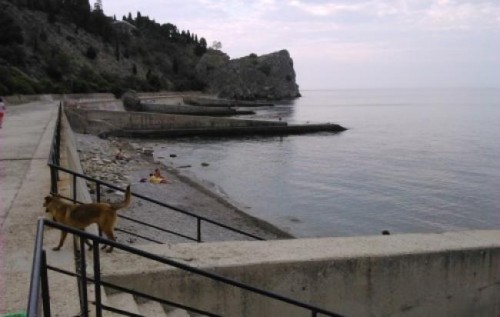 Крым поперек горла: иллюстрация одного жлобства