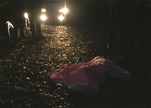 В Полтаве убийца в маске зарезал сына на глазах у матери