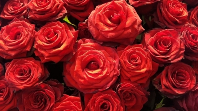 Держдума вирішила послати Путіну парну кількість квітів