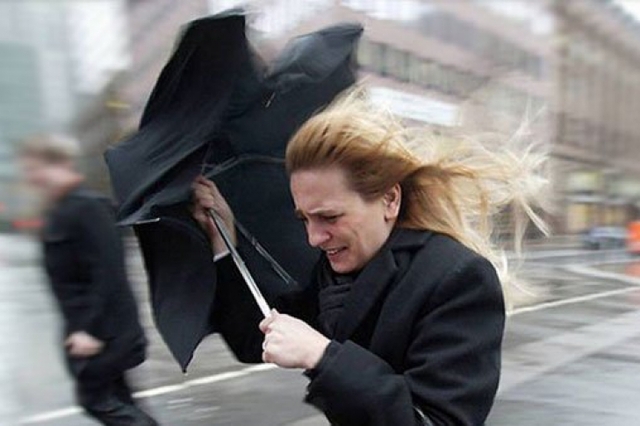 На Киев движется циклон, жителей просят держаться подальше от деревьев