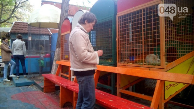 В одесском мини-зоопарке от холода и голода гибнут животные