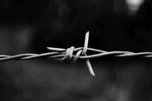 Адвокат Сенцова взялся за дело "крымских диверсантов"