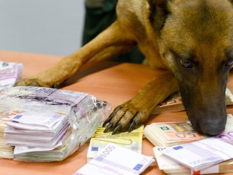 В аэропорту Афин задержали россиянку с 2,3 млн евро под одеждой