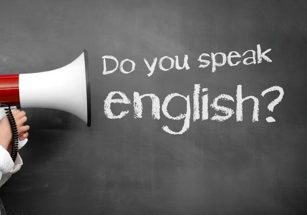 Гриневич программирует невежество украинских «ученых»