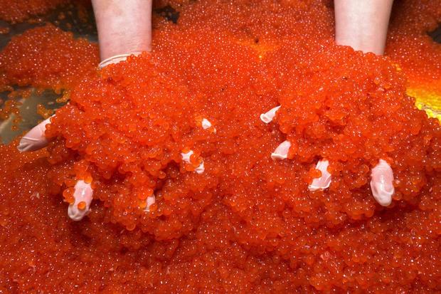 Россиянка на таможне пыталась съесть 10 кило контрабандной красной икры