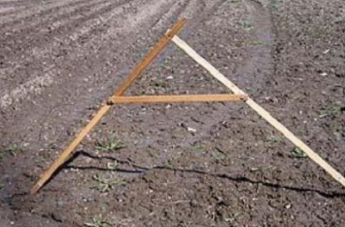 Каждый украинец имеет право на бесплатные 2,28 га земли: пошаговая инструкция