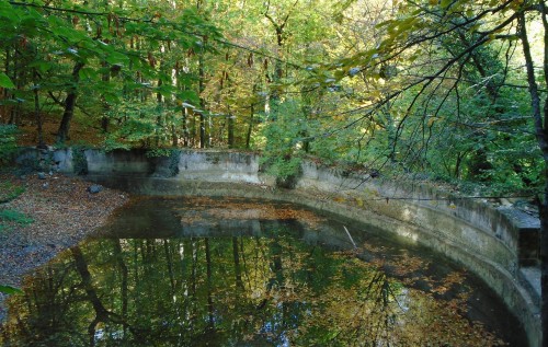 В Крыму уже началась экологическая катастрофа. ФОТО