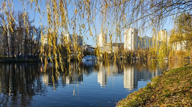 Назван самый удобный для проживания район Киева