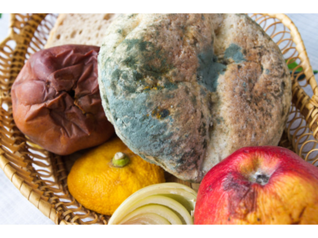 Владельцы торговых сетей нашли способ наживаться на бедных