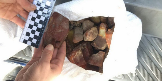 В Ровно СБУ задержала скупщика крупной партии янтаря