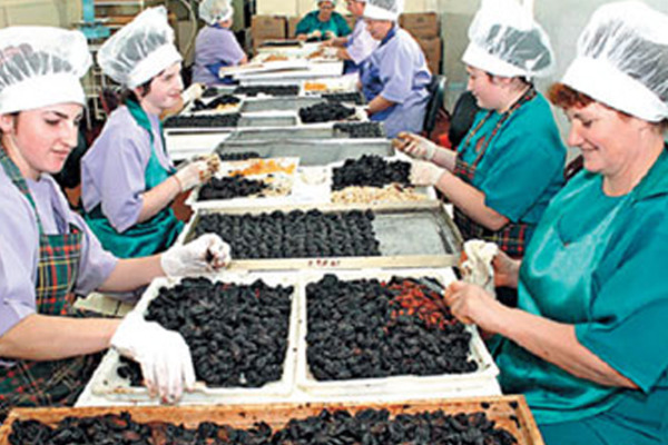 Кондитерскую фабрику "ЛНР" решили вывезти "подальше от обезьян с автоматами"