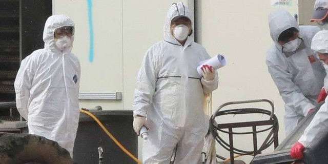 В одном из сел Херсонщины ветеринары зафиксировали вспышку птичьего гриппа