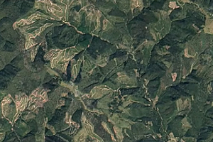 Масштабы поражают: на видео показали последствия вырубки леса в Карпатах