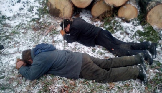 АТОшникі самі почали наводити лад з вирубкою лісів. Перші «жертви» (ФОТО)