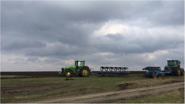 Зачем армия решила выращивать пшеницу в заповедной степи