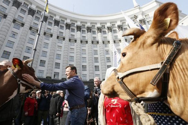 Олег Ляшко. Украинский патриот или популист?