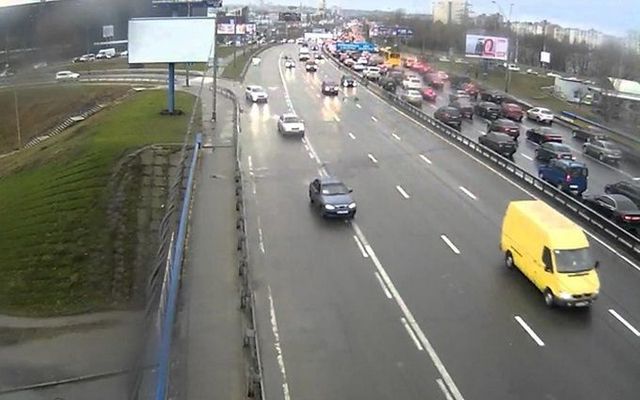 Пост о мертвых раках на проспекте Бандеры в Киеве взбудоражил сеть