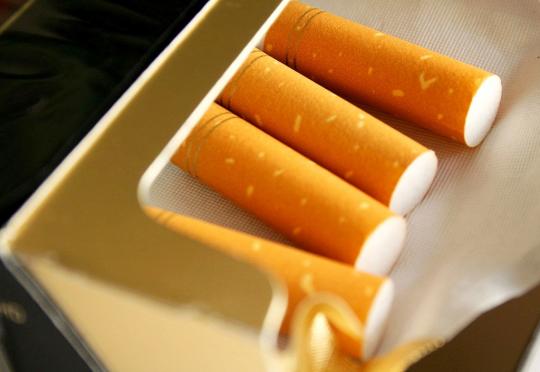 Связанная с Януковичами и ФСБ компания оштрафована на 431 млн гривен