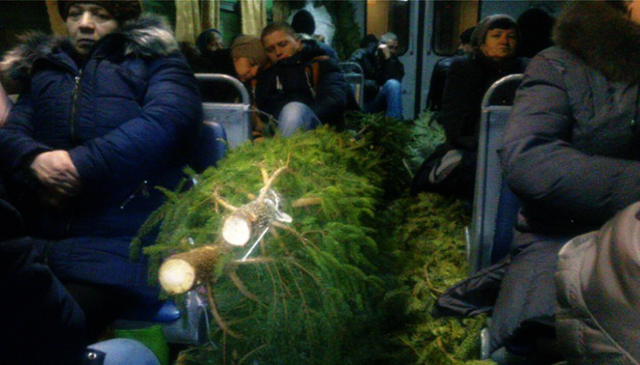 Львовские «бизнесмены» с елками вытеснили людей в электричках