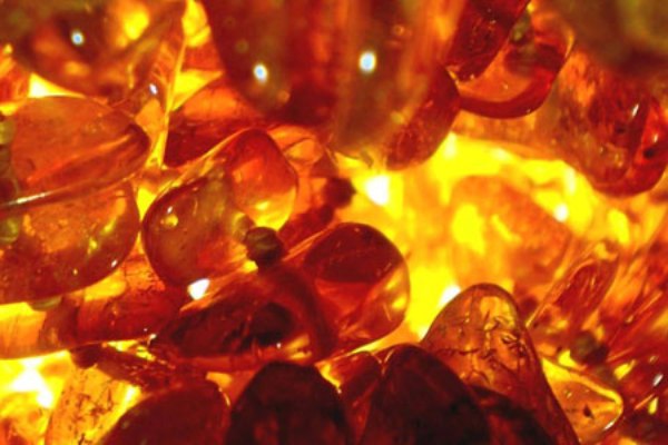 Кому депутати віддали 457 бурштинових гектарів?