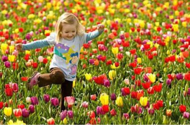 Праздники в 2017-м: сколько будет отдыхать Украина