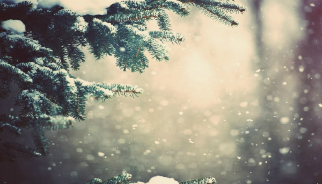 Синоптики предупредили об аномальных погодных условиях в Украине в канун Рождества