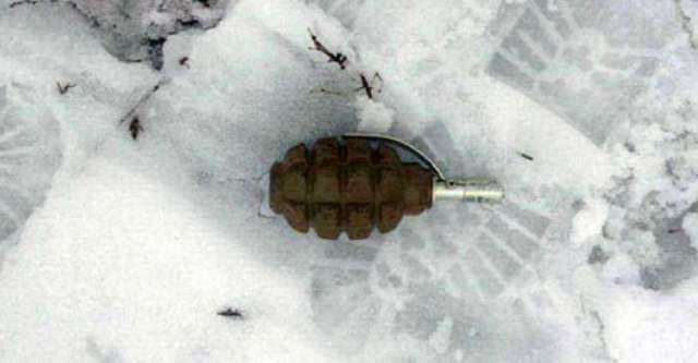 В Никольском возле дороги дети обнаружили гранату